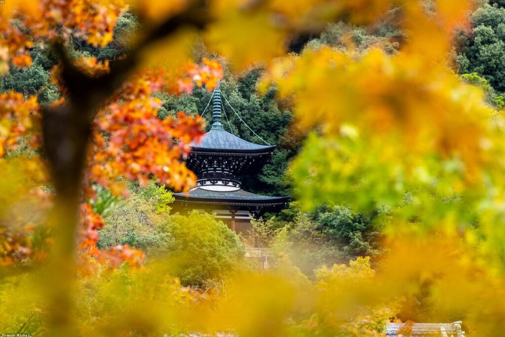 【108さん】適切性と一致する——思考を手放して、見えない力に委ねる生き方